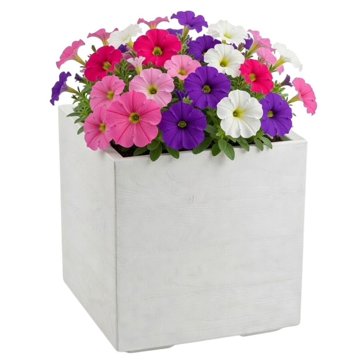 Květináč na kolečkách BETONIQUE 40x40 cm krémový