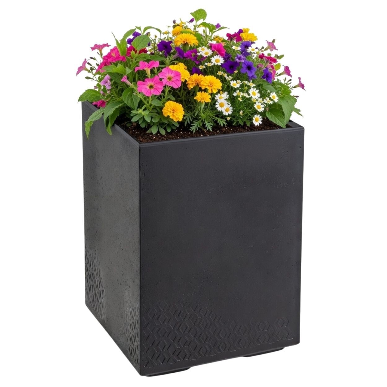 Květináč na kolečkách BETONIQUE 60x40 cm černý