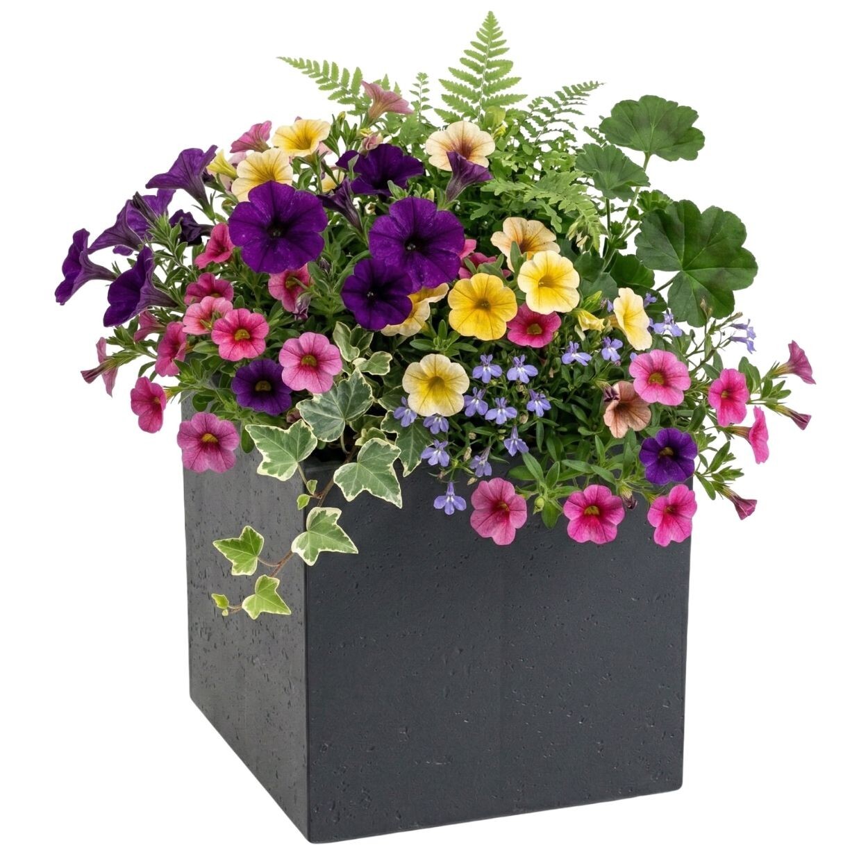 Květináč na kolečkách BETONIQUE - výber z 8 prevedení