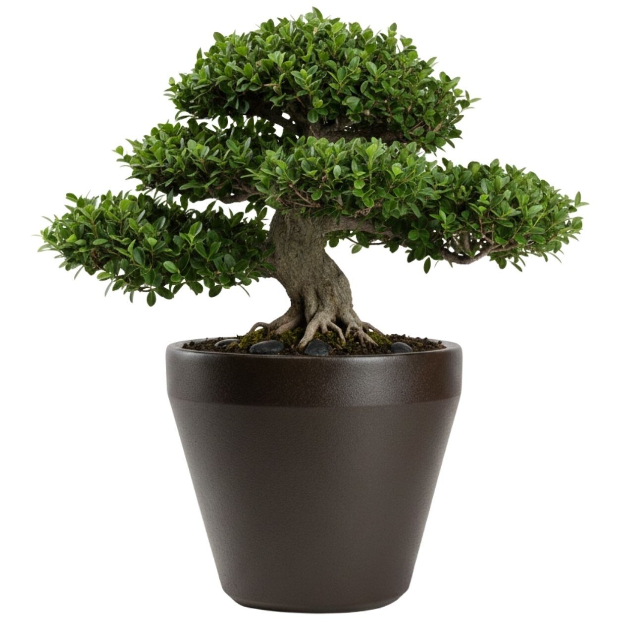 Květináč Purea 56,6x61x3 cm mokka hnědý