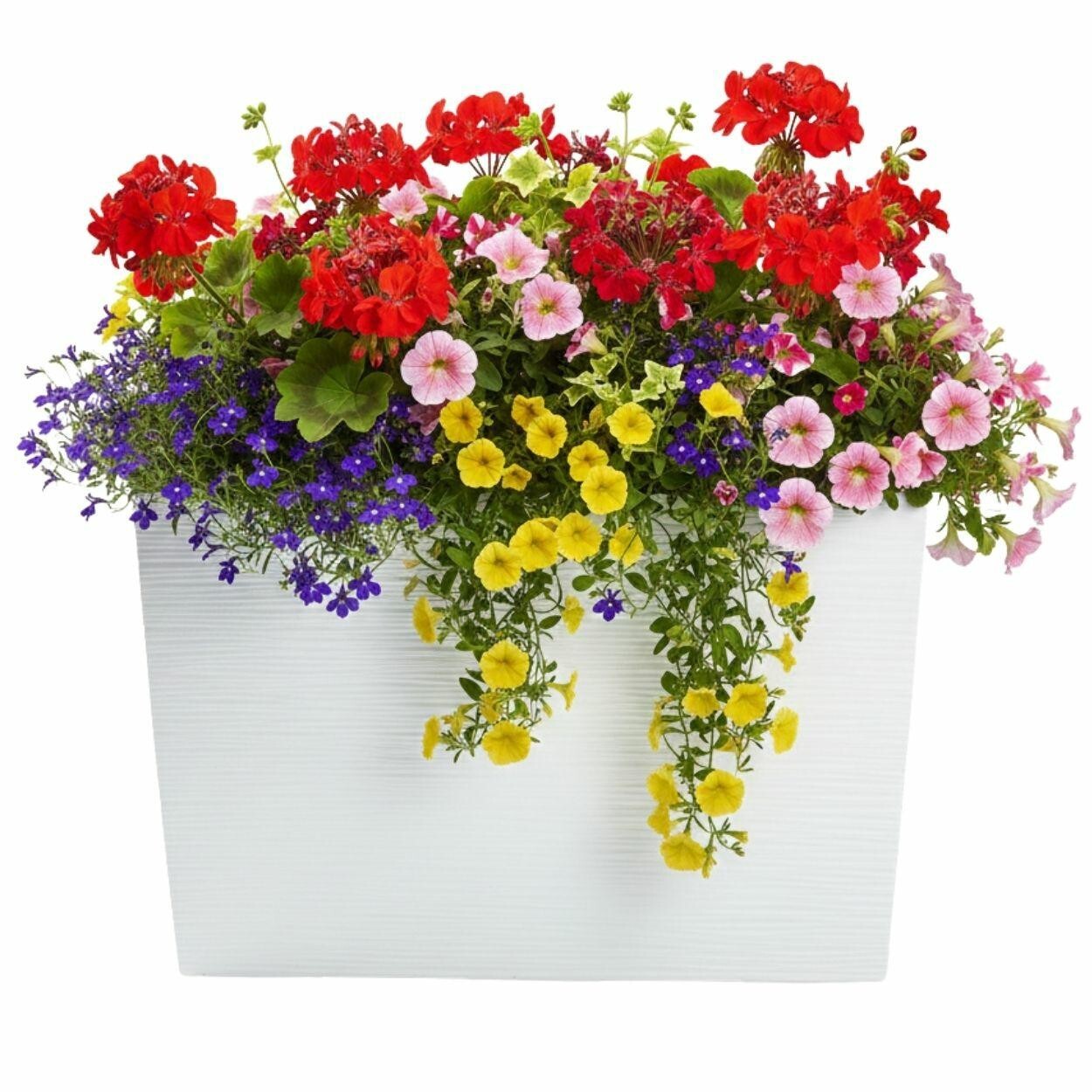 Plastový květináč Bloom Riflo 36,2x56,1 cm bílý