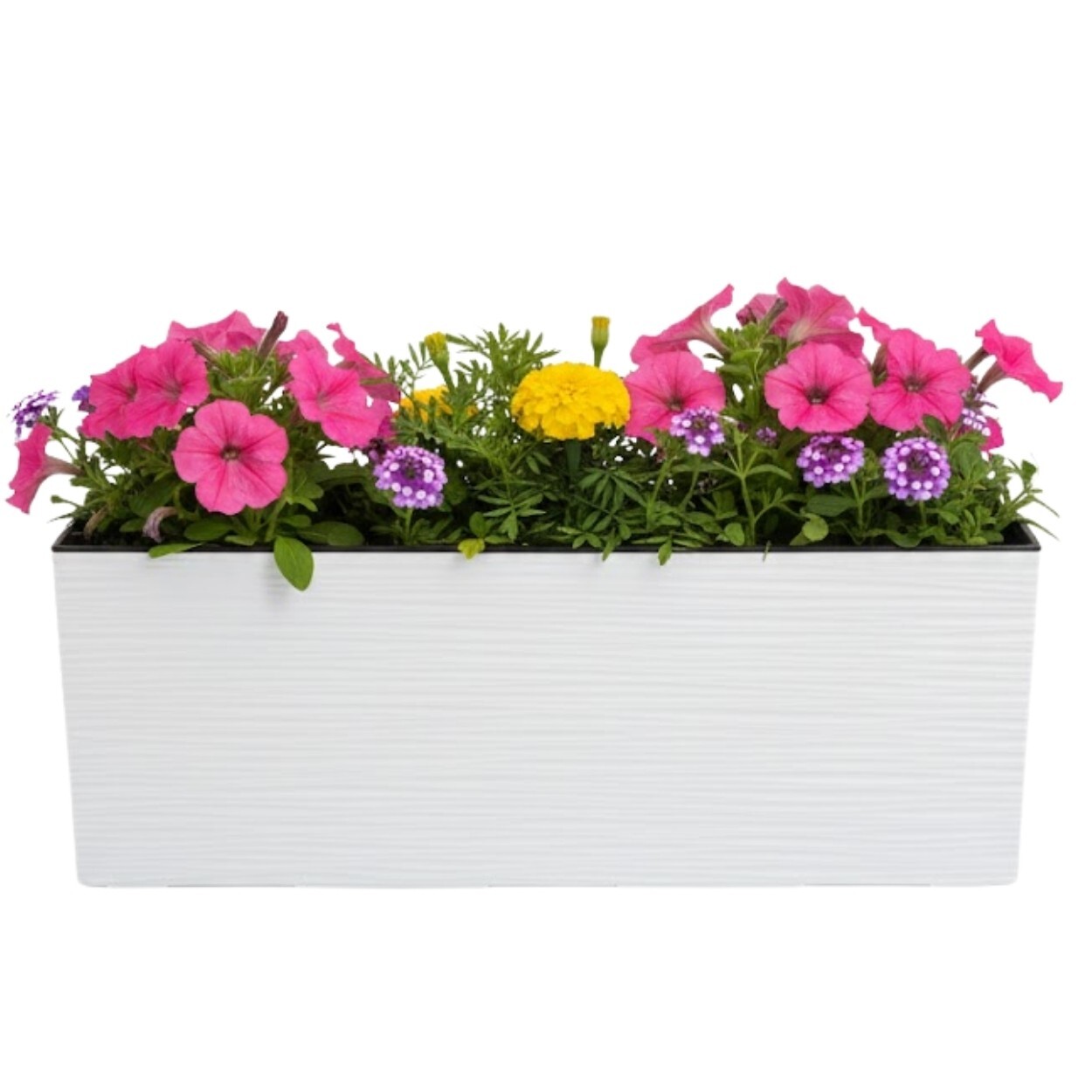 Plastový květináč Bouquet Riflo 56x19 cm bílý