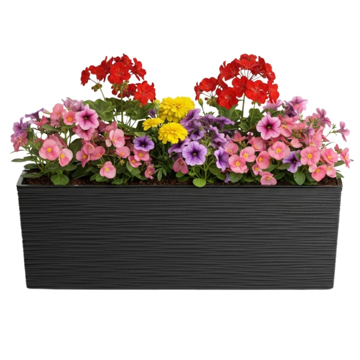 Plastový květináč Bouquet Riflo 56x19 cm černý