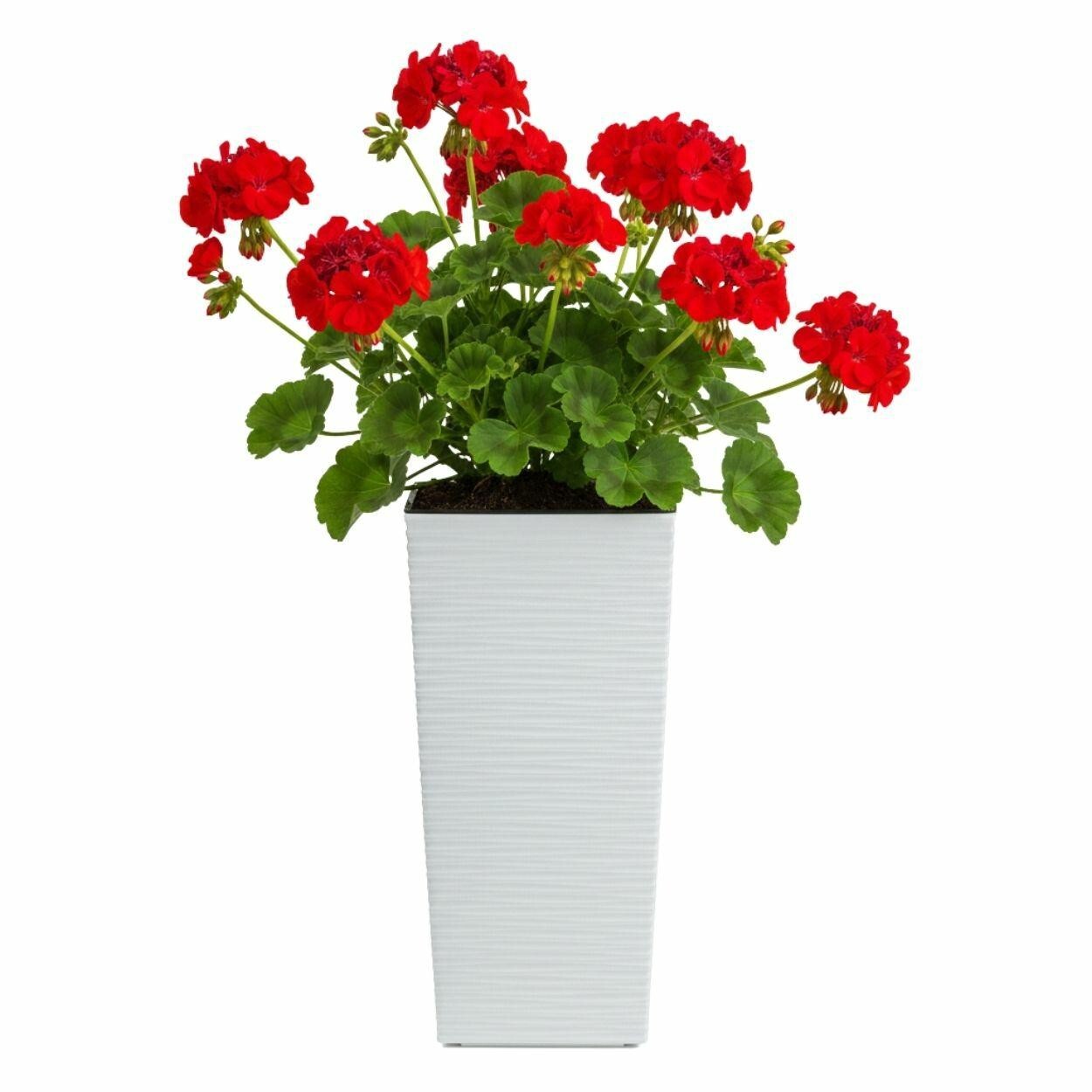Plastový květináč Porto Riflo 36,6x18,9x18,9 cm bílý