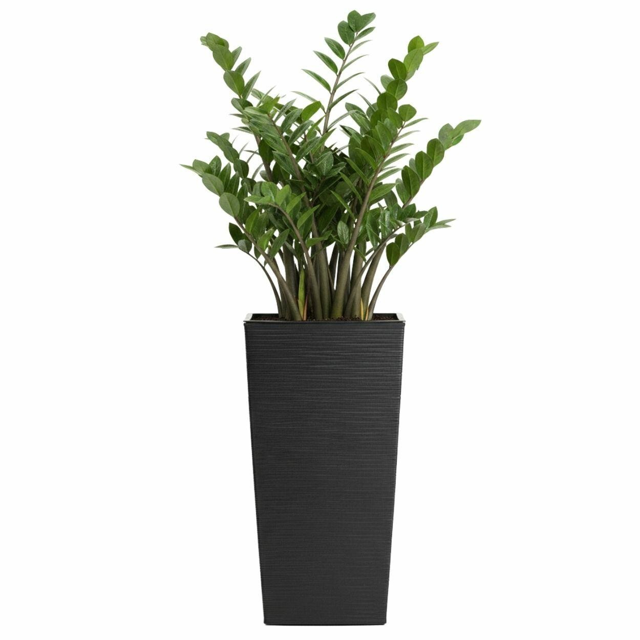 Plastový květináč Porto Riflo 46x25x25 cm černý