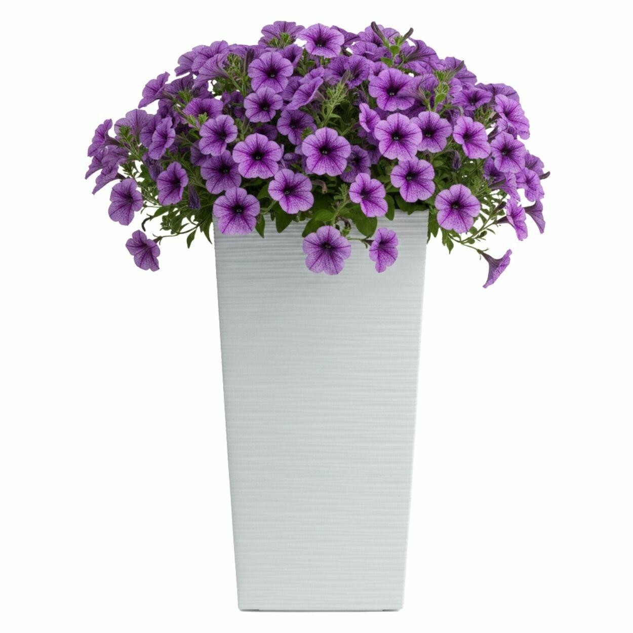 Plastový květináč Porto Riflo 67,7x35x35 cm bílý
