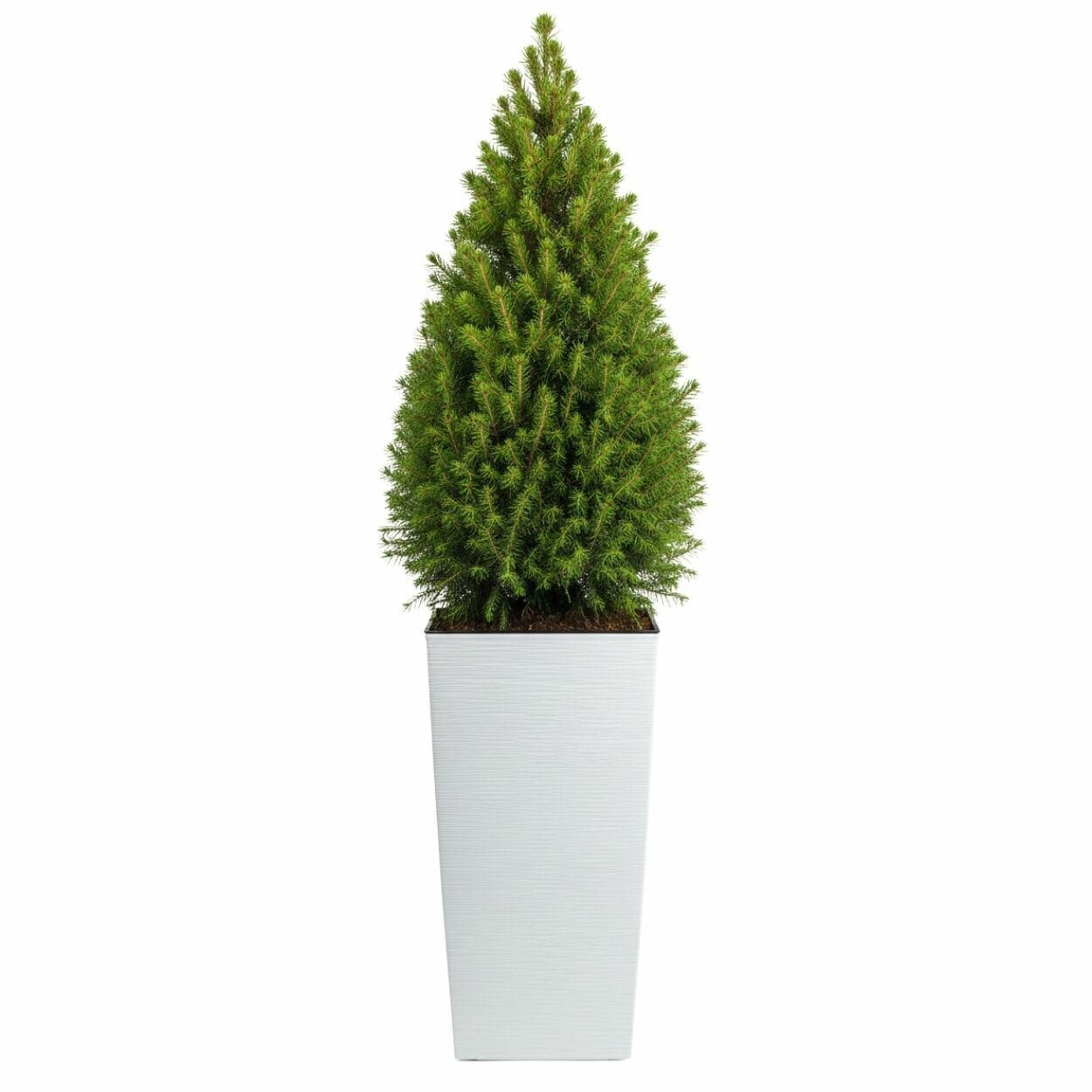 Plastový květináč Porto Riflo 75x39,6x39,6 cm bílý