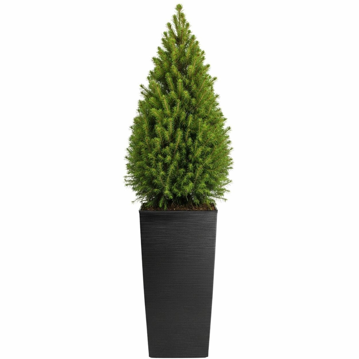 Plastový květináč Porto Riflo 75x39,6x39,6 cm černý