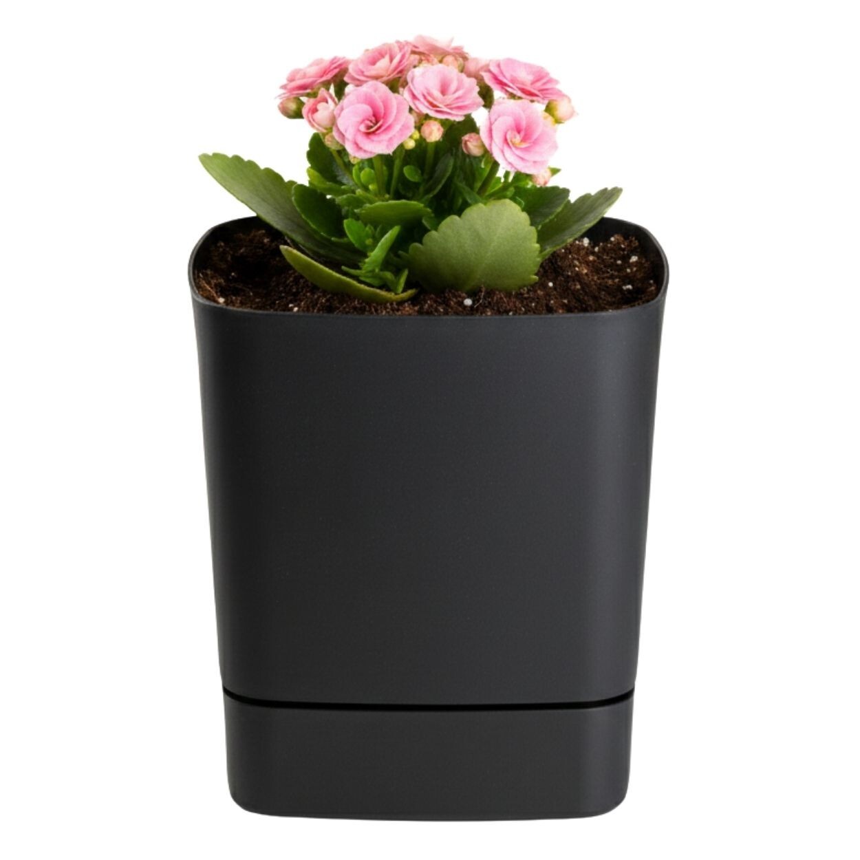 Plastový květináč s podmiskou Cubi 16x16 cm - výber z 6 prevedení