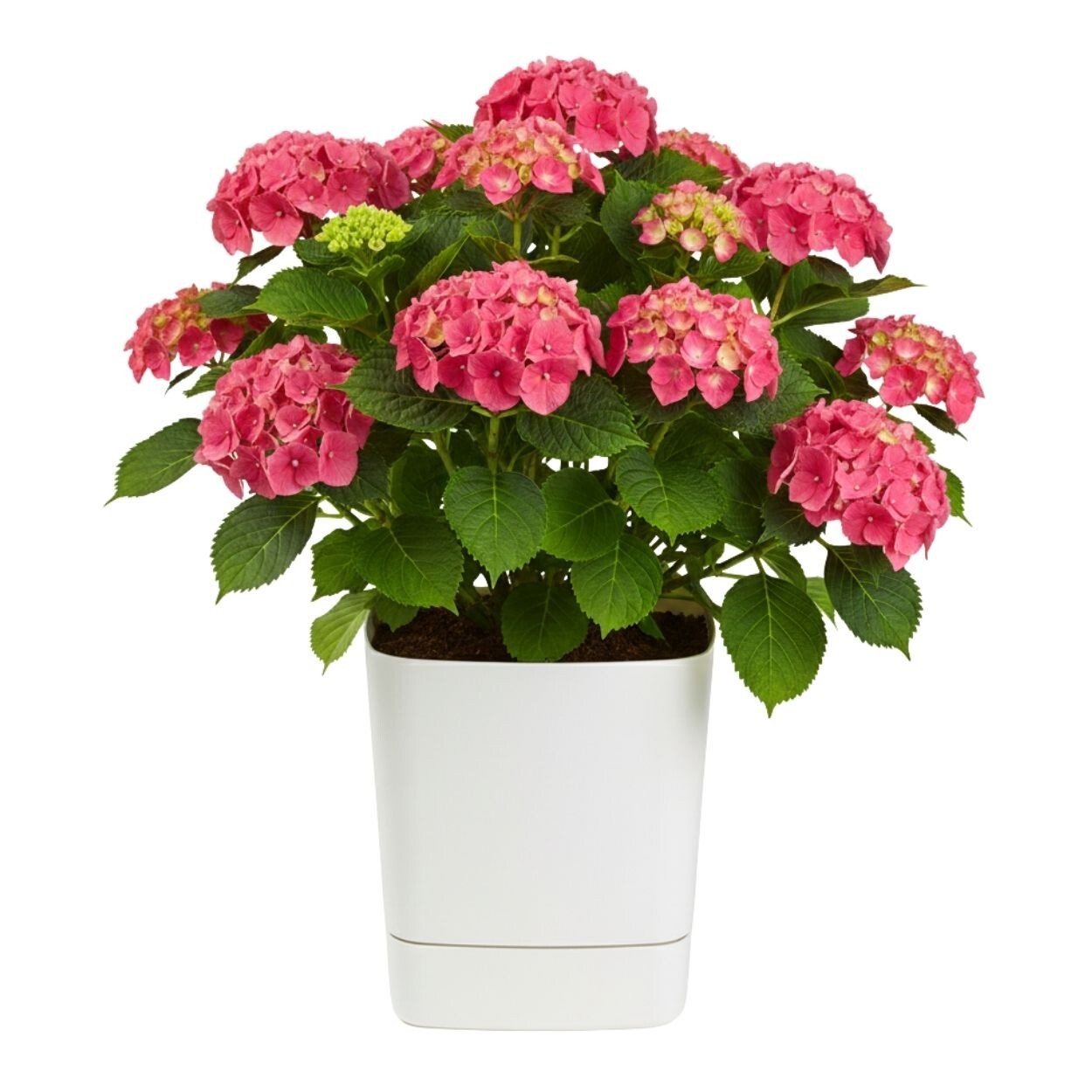 Plastový květináč s podmiskou Cubi 34x34 cm krémový