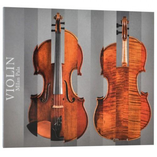 Violin