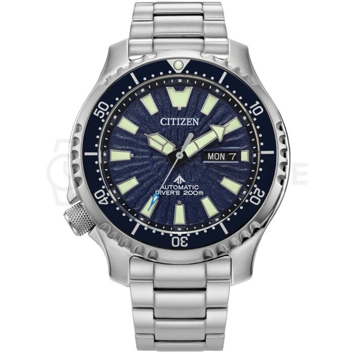 Citizen Promaster NY0136-52L