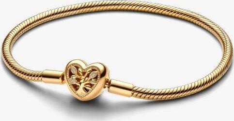 PANDORA Moments 563516C01-20