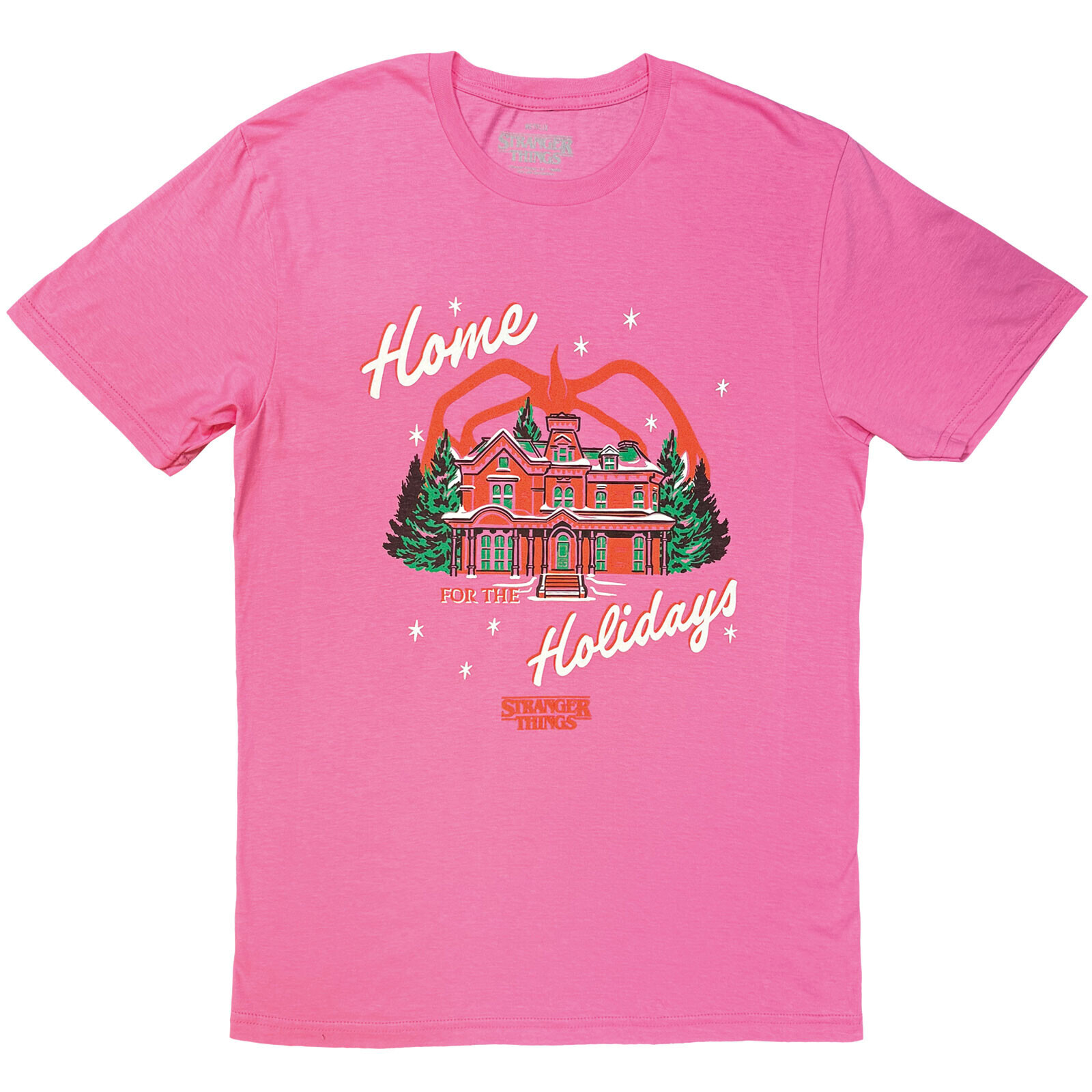 Stranger Things - Home Holidays