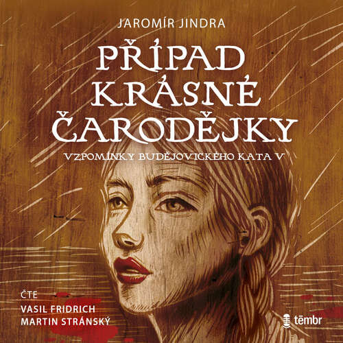 Případ krásné čarodějky - Jaromír Jindra (mp3 audiokniha)