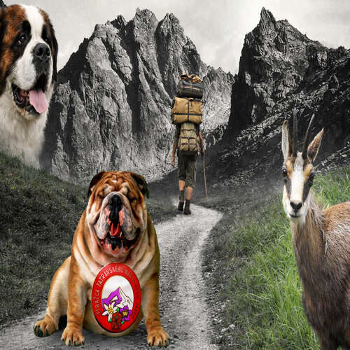 Keď na horách kráľoval humor - Andrej Tymko (mp3 audiokniha)