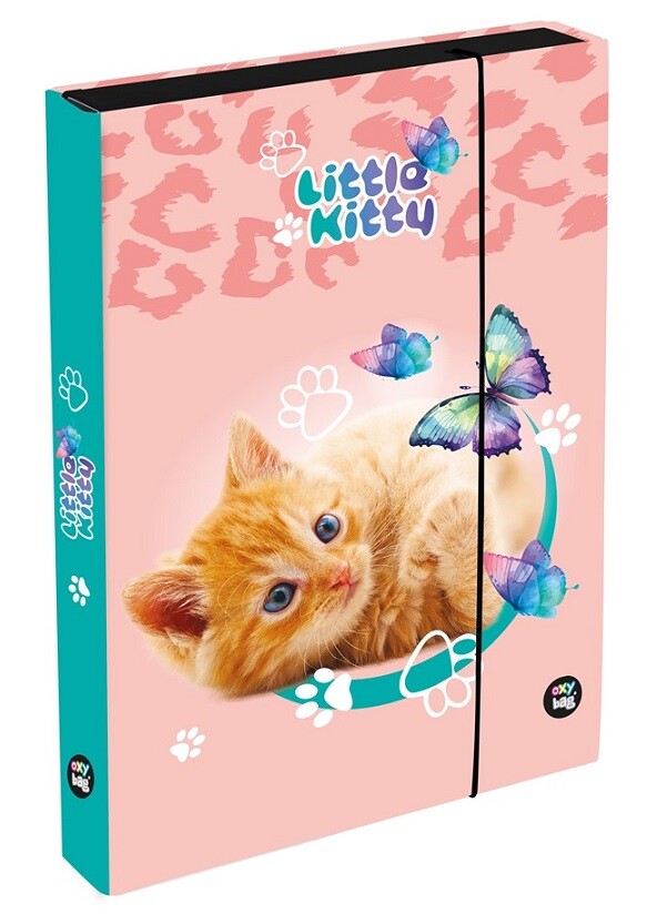 Box na zošity A4 Mačka