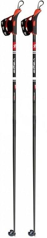 Rex Vega Veľkosť: 130 cm