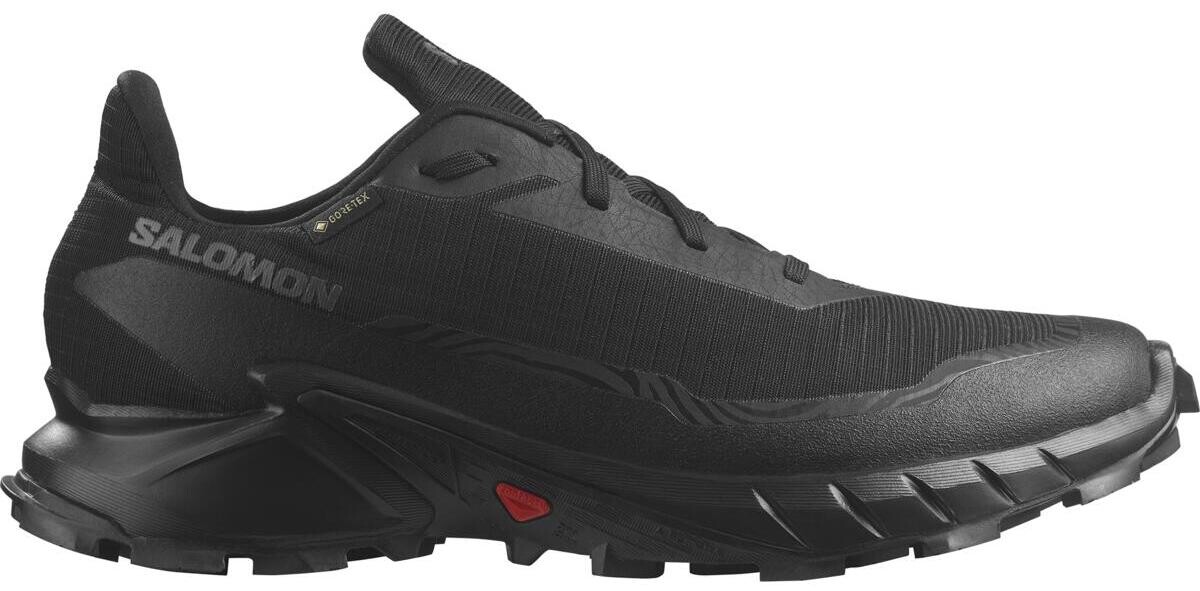 Salomon Alphacross 5 GTX M Veľkosť: 42 EUR