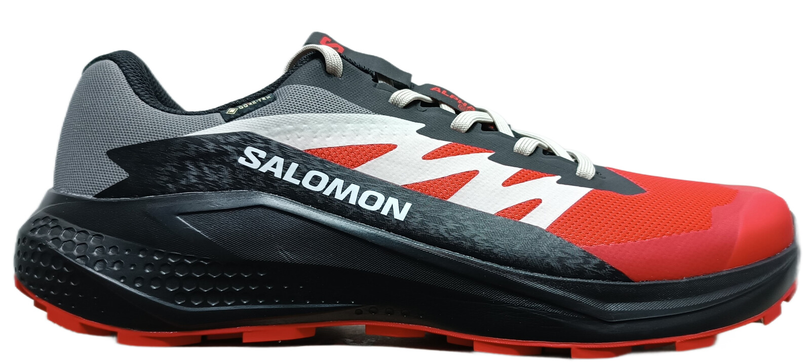 Salomon Alphaglide GTX M Veľkosť: 43 1/3 EUR
