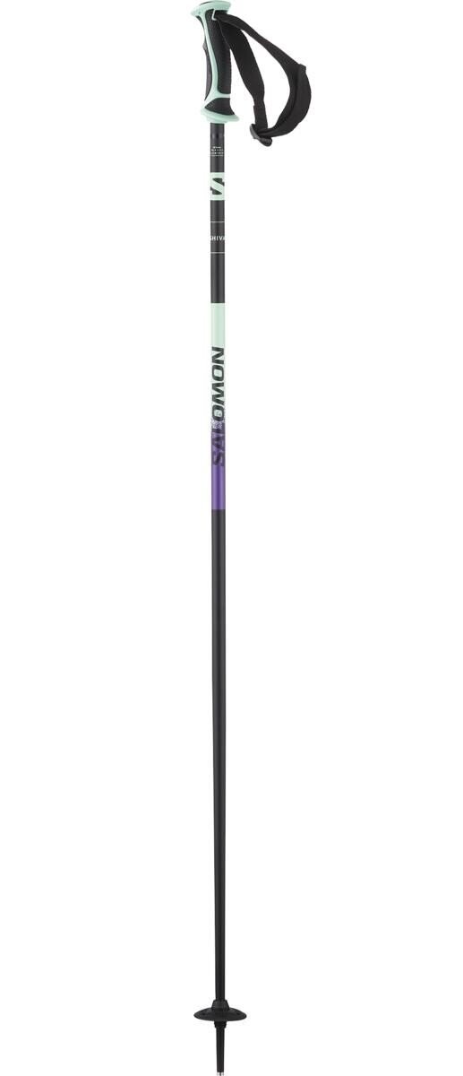 Salomon Shiva Alpine Poles W Veľkosť: 105 cm