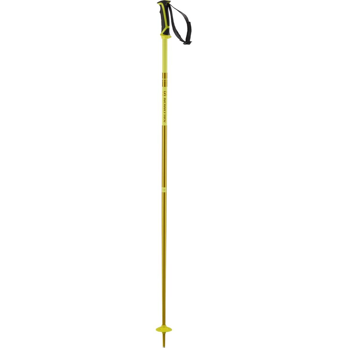 Salomon Arctic Alpine Poles Veľkosť: 115 cm