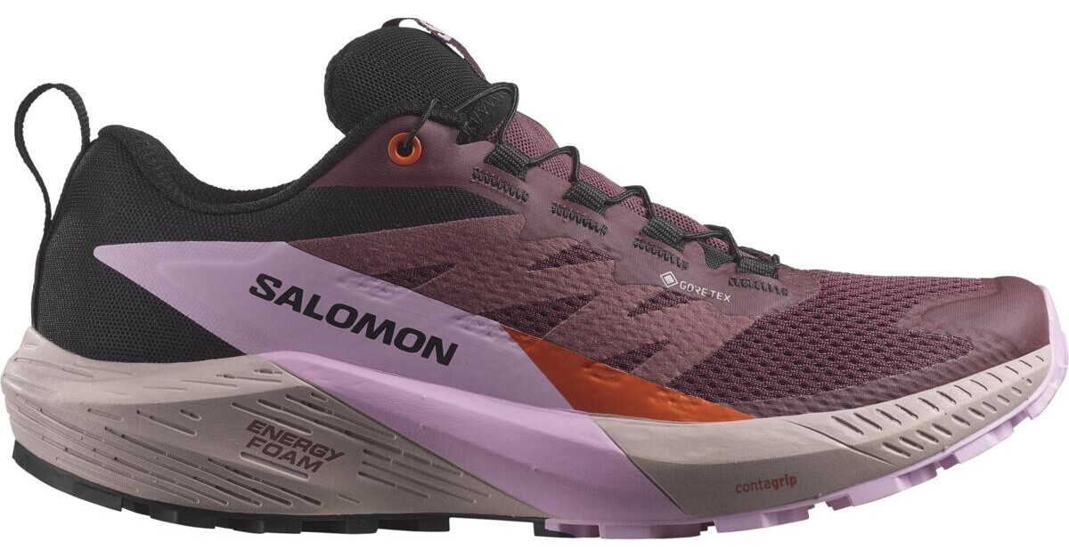 Salomon Sense Ride 5 GTX W Veľkosť: 38 2/3 EUR