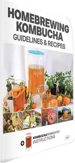 Domácí vaření kombuchy – pokyny a recepty anglicky