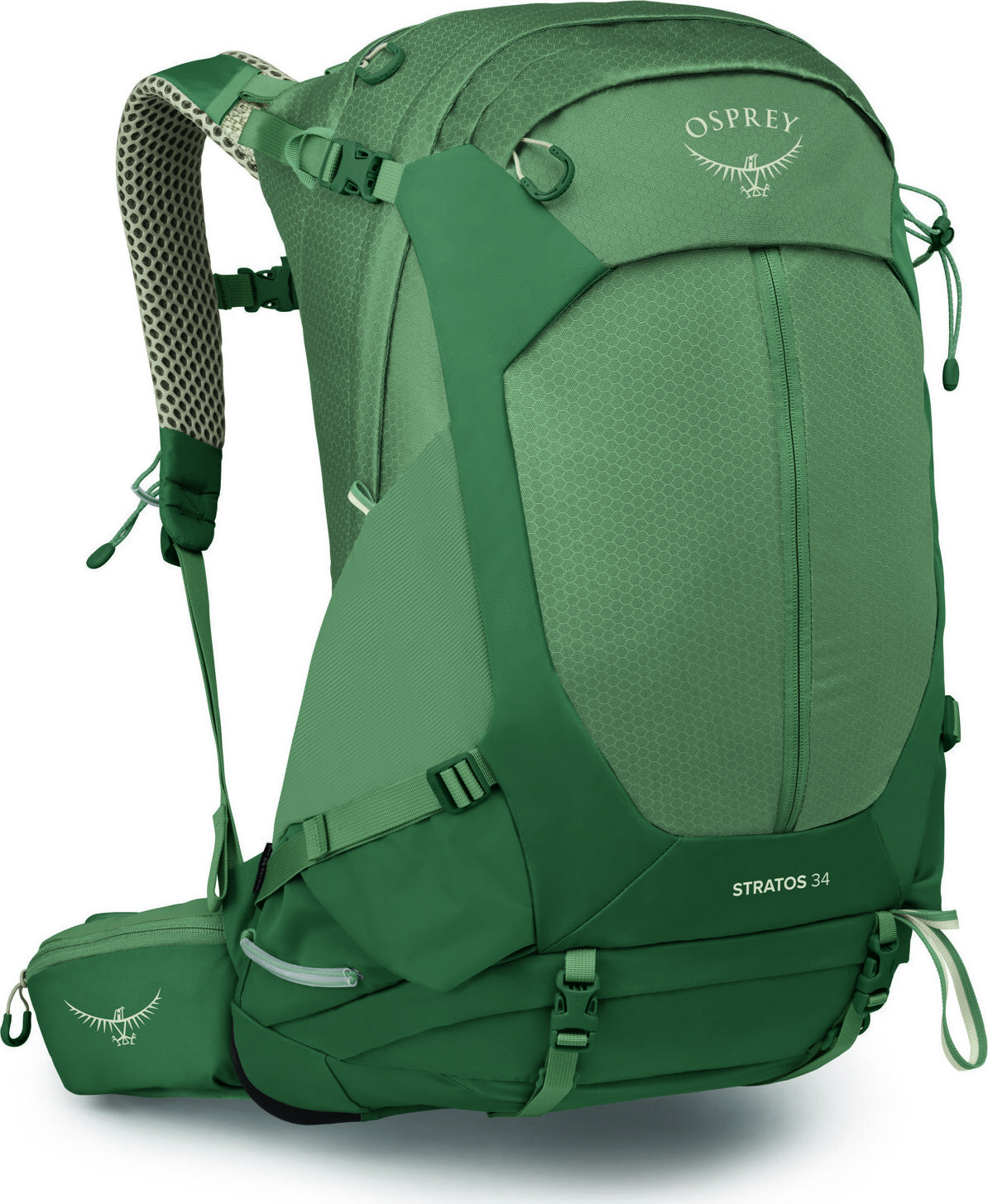 Osprey Stratos 34 Pine Leaf Green