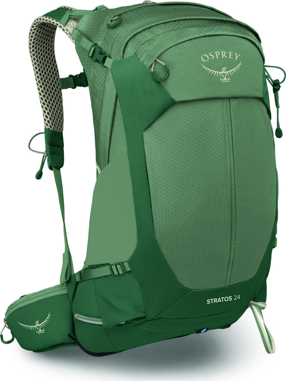 Osprey Stratos 24 Pine Leaf Green