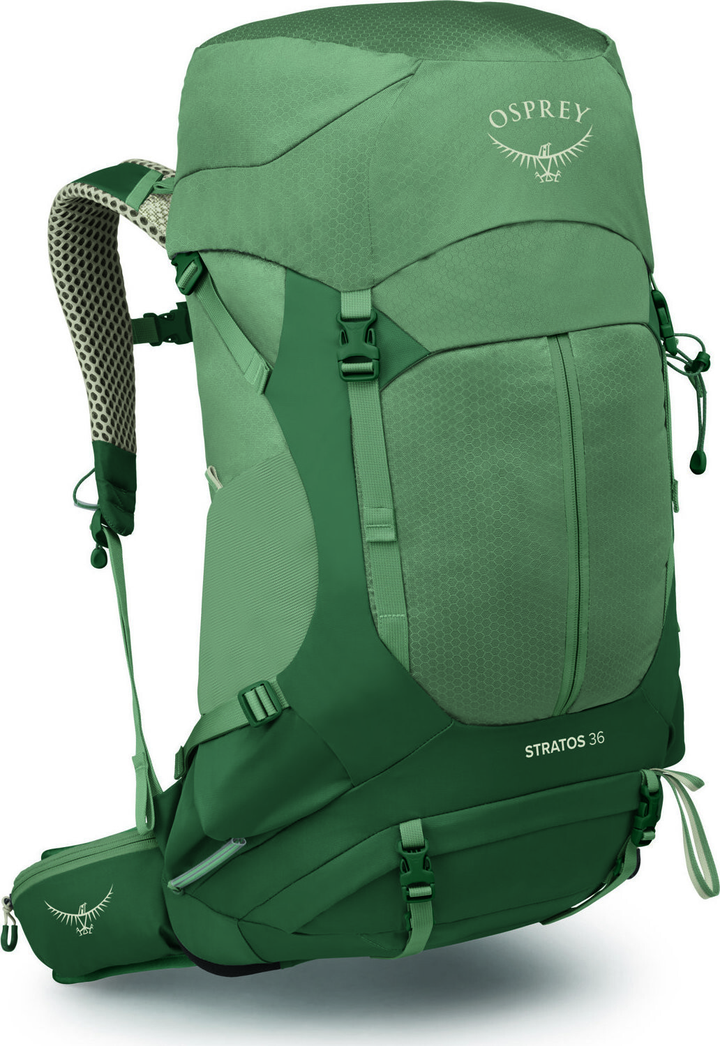 Osprey Stratos 36 Pine Leaf Green