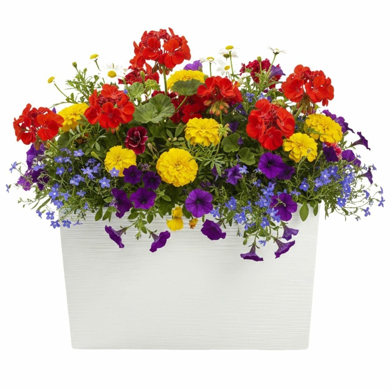 Plastový květináč Bloom Riflo 36,2x56,1 cm krémový