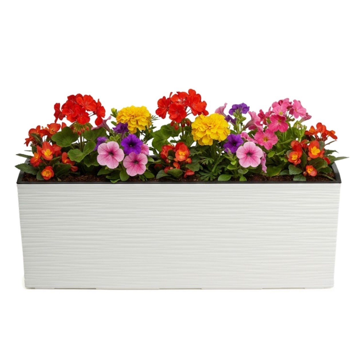 Plastový květináč Bouquet Riflo 56x19 cm krémový