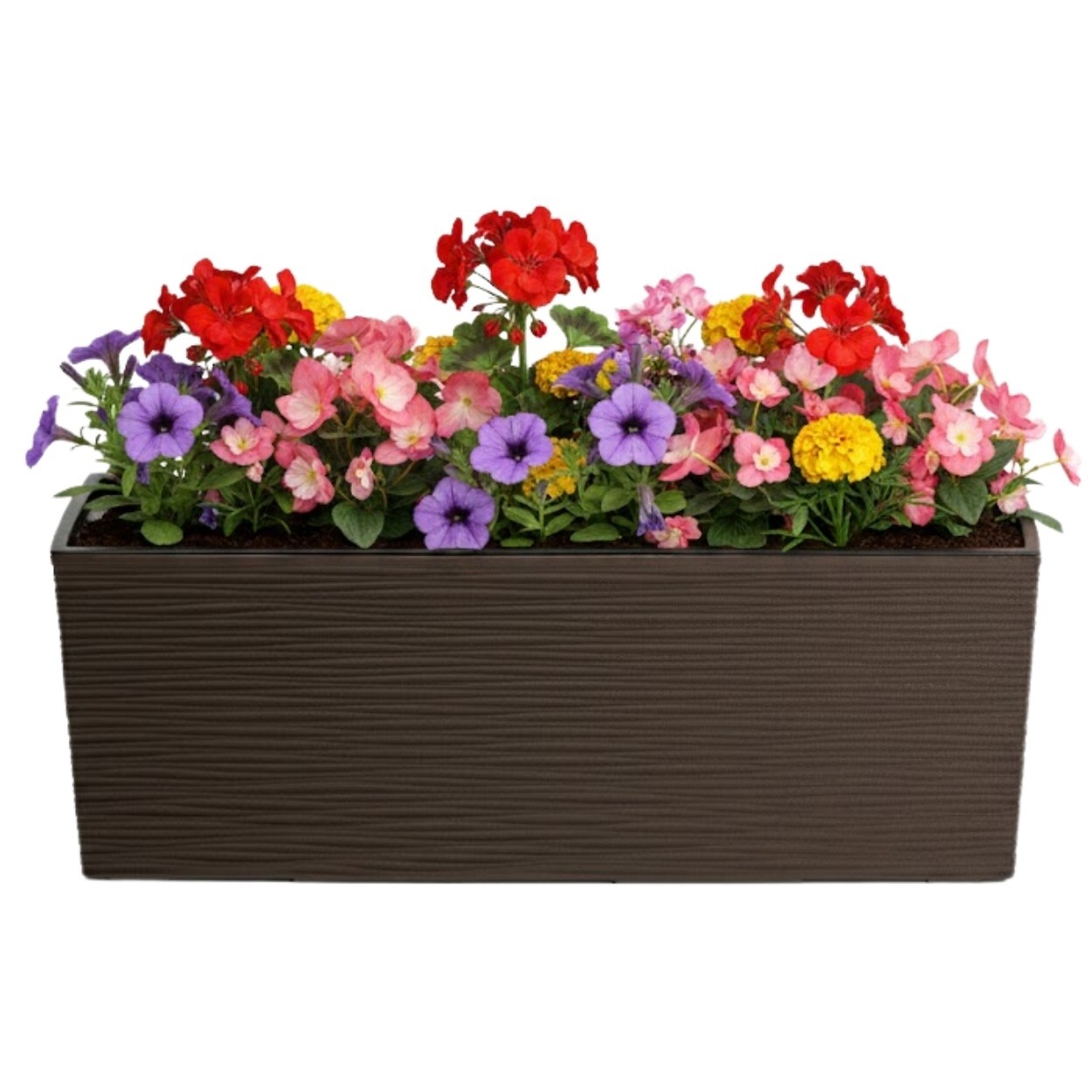 Plastový květináč Bouquet Riflo 56x19 cm mokka