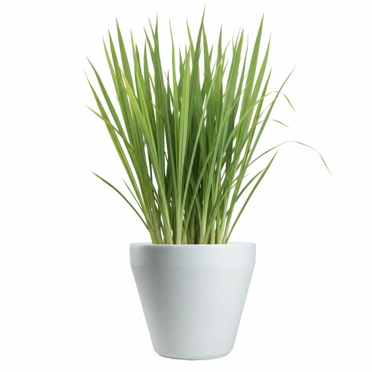 Plastový květináč Purea 34,9x39,5 cm bílý