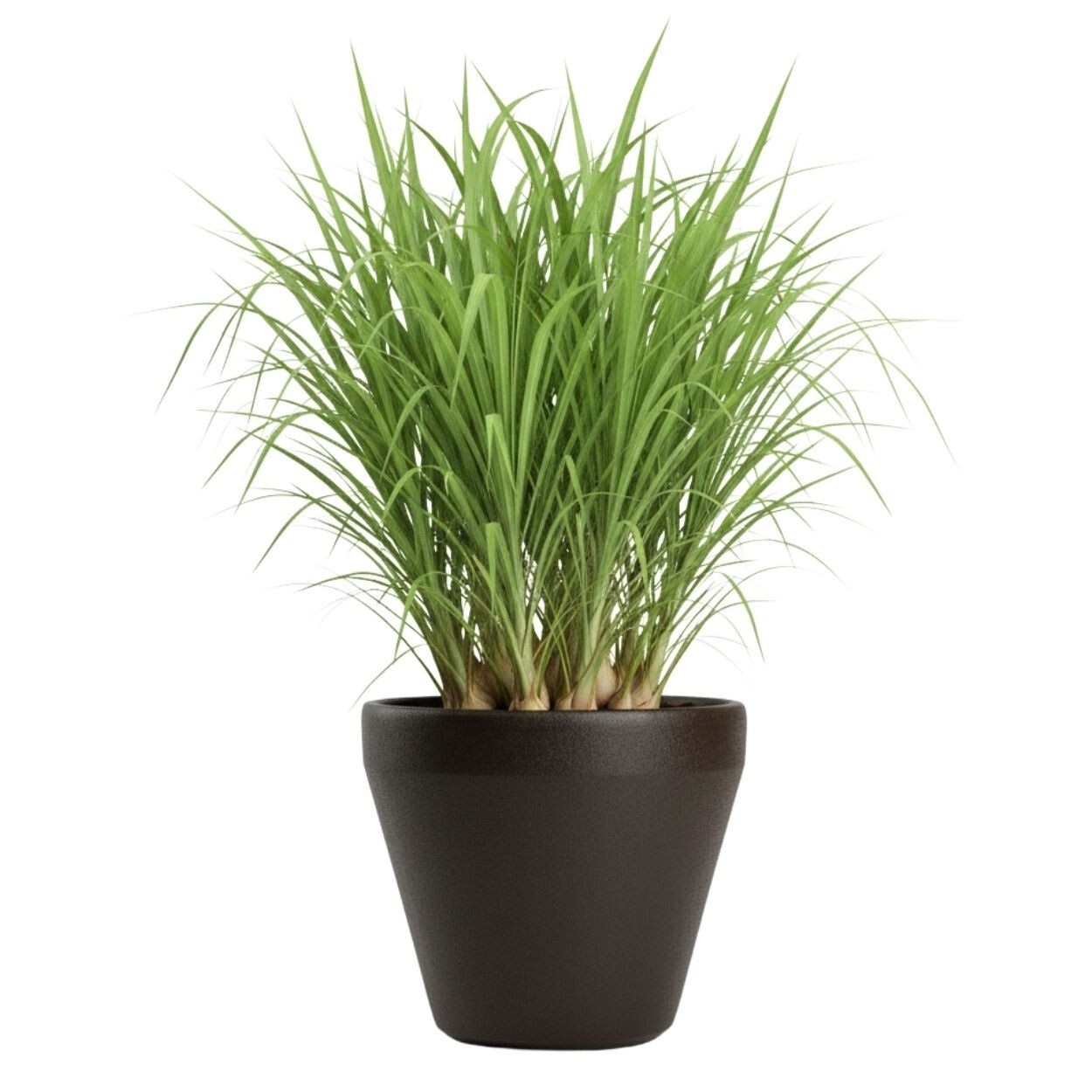 Plastový květináč Purea 34,9x39,5 cm mokka