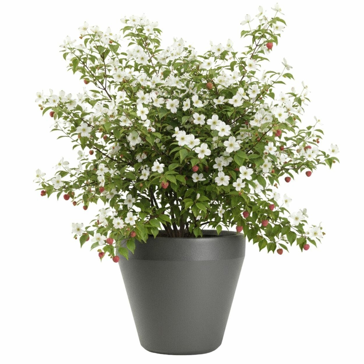 Plastový květináč Purea 41,2x46,4 cm antracitový