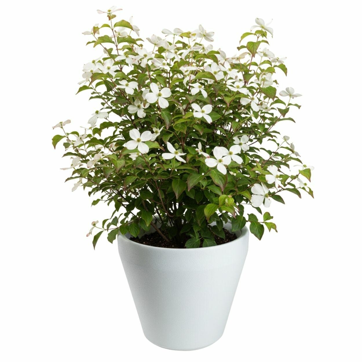 Plastový květináč Purea 41,2x46,4 cm bílý