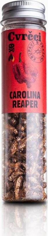 SENS Pálivé chrumkavé & pražené svrčky – Carolina Reaper 20 g