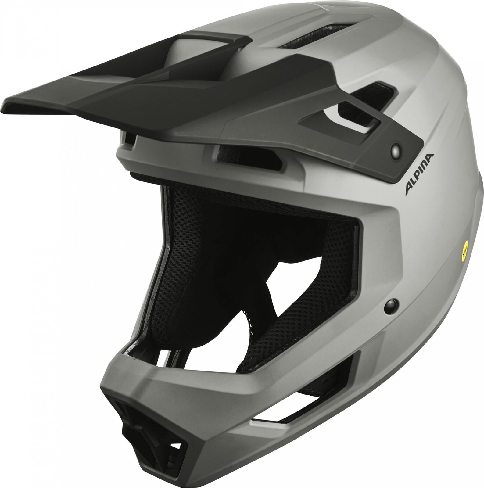 Alpina Pikes MIPS smoke grey matt M