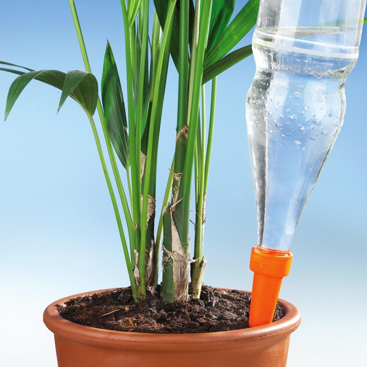 Zavlažovacie kolíky, 6 ks