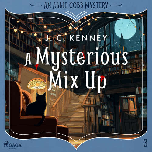 A Mysterious Mix Up (EN) - J. C. Kenney (mp3 audiokniha)
