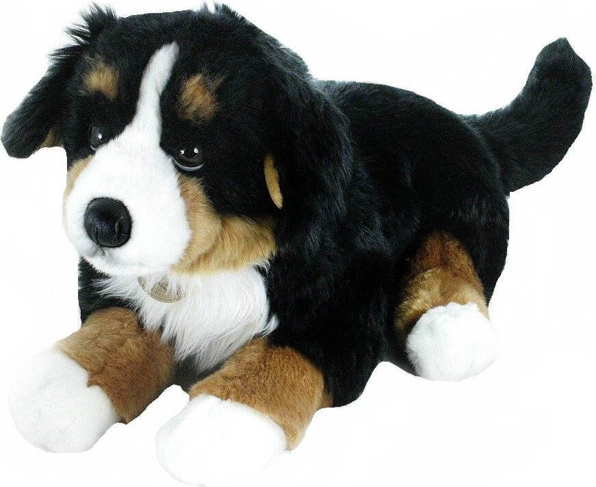 Rappa Salašnícky pes ležiaci