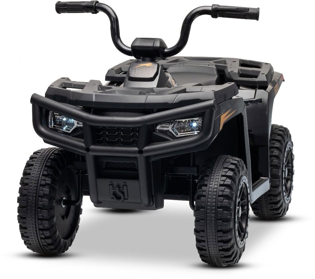 Beneo Motors Arctic Cat Alterra 600 12 V čierna