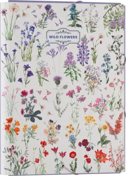 GRUPO ERIK Wild Flowers: Types Of Flowers, zložka