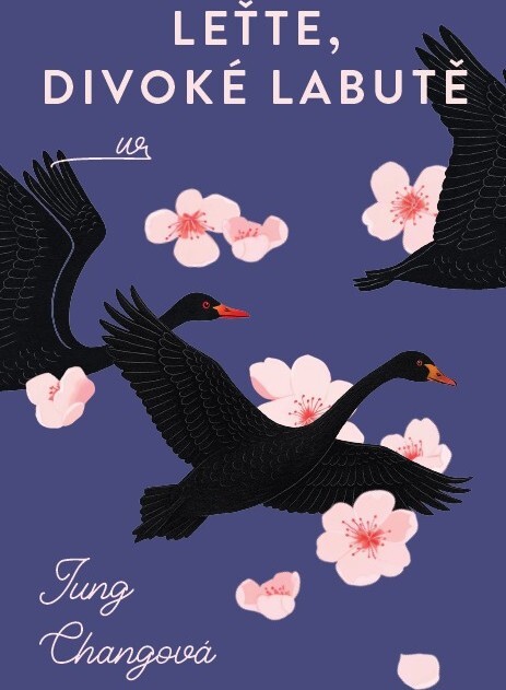 Leťte, divoké labutě