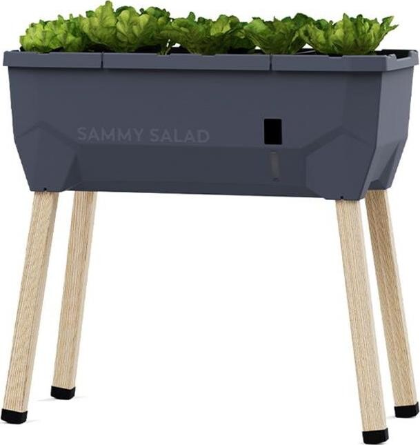Gusta Garden SAMMY SALAD samozavlažovací kvetináč bez veka, antracit