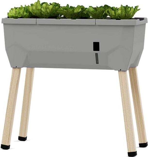 Gusta Garden SAMMY SALAD samozavlažovací kvetináč bez veka, svetlo sivá