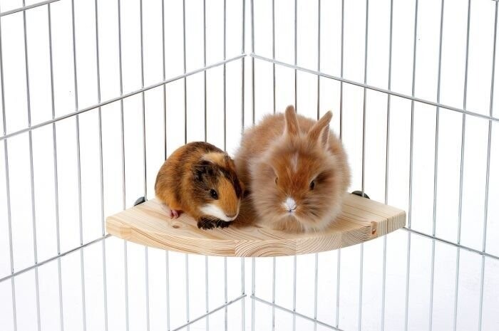 Karlie Poschodie do klietky 22 × 22 × 1,8 cm