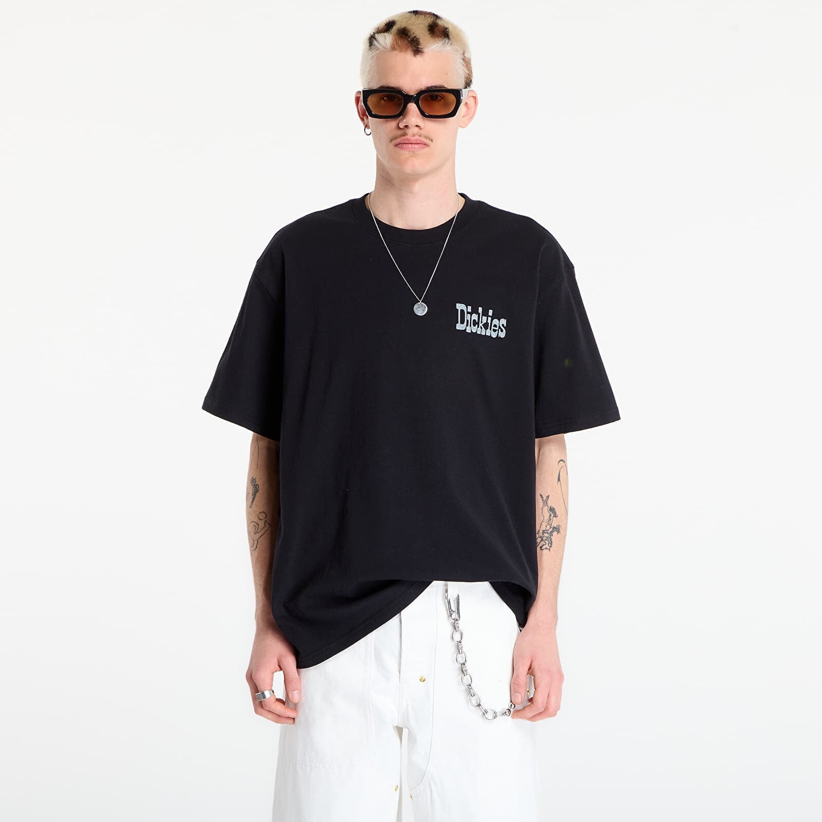 Tričko Dickies Vernal Short Sleeve Tee Black M
